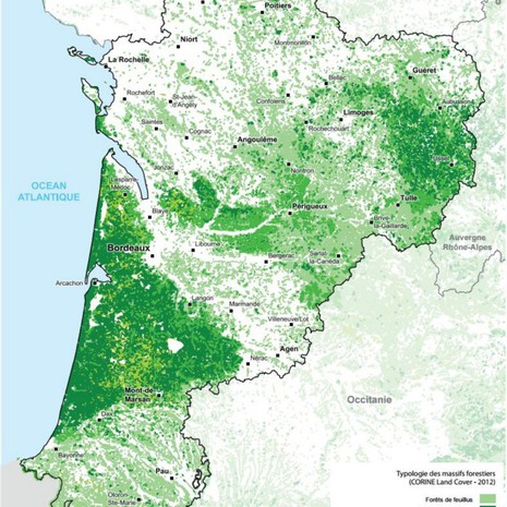 Atlas régional 2016 - Principaux massifs forestiers © Région Nouvelle-Aquitaine
