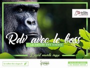Rdv avec le boss - Vallée des singes
