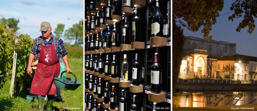 World famous vineyards Espace professionnels Nouvelle Aquitaine