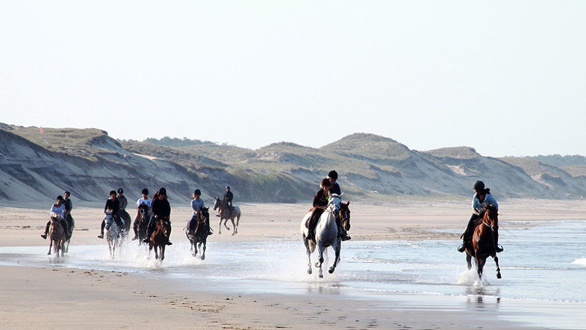 balade à cheval, plage, soulac-sur-mer, france