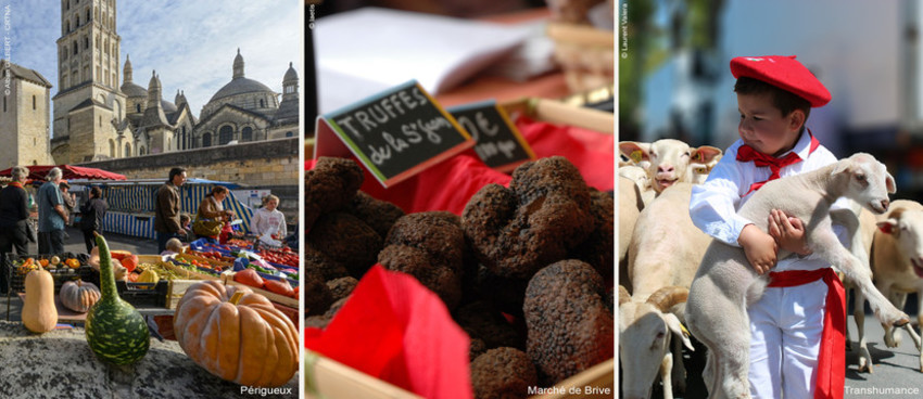 Marché de Périgueux, Marché de Brive, Enfant basque avec agneau